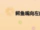 鱷魚嘴向左向右區(qū)別（鱷魚嘴）