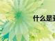 什么是亞馬遜奧特萊斯