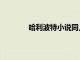 哈利波特小說(shuō)同人圖（哈利波特小說(shuō)同人）