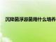 沉降菌浮游菌用什么培養基（沉降菌和浮游菌的區別是什么）
