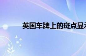 英國車牌上的斑點顯示出令人震驚的錯誤下降