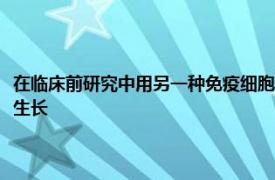 在臨床前研究中用另一種免疫細(xì)胞靶向一種類型的免疫細(xì)胞可以減緩癌癥的生長(zhǎng)
