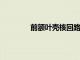 前額葉殼核回路對人類反應抑制至關重要