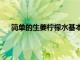 簡單的生姜檸檬水基本上是檸檬水2.0它富含抗炎功效