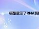 模型展示了RNA剪接缺陷如何導(dǎo)致阿爾茨海默病