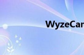 WyzeCam泛光燈評測