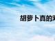 胡蘿卜真的對你的眼睛有好處嗎