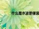 什么是水波更便宜更緊湊的賽艇運動員解釋說