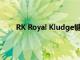 RK Royal Kludge鍵盤最好的大型游戲和打字鍵盤