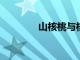 山核桃與核桃它們?nèi)绾伪容^