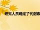 研究人員確定了代謝紊亂中對肝細胞的免疫攻擊的目標