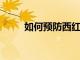 如何預(yù)防西紅柿枯萎病和開(kāi)花腐爛