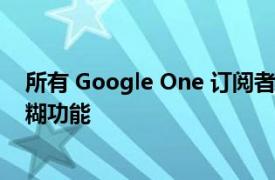 所有 Google One 訂閱者都可以使用 Google 照片人像模糊功能