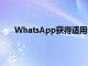 WhatsApp獲得適用于Windows的新獨立應用程序