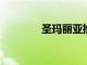 圣瑪麗亞推出植物性調味料