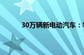 30萬輛新電動汽車：特斯拉在工廠的運作方式