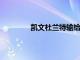 凱文杜蘭特輸給熱火后網隊想念凱里歐文