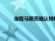 埃隆馬斯克確認特斯拉正在回滾FSD Beta 10.3