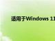 適用于Windows 11 22H2的英特爾顯卡驅動程序