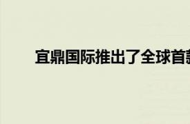 宜鼎國際推出了全球首款M.2規格萬兆網卡擴展卡