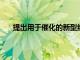 提出用于催化的新型納米結(jié)構(gòu)雙金屬復(fù)合材料的挑戰(zhàn)