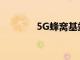 5G蜂窩基站市場的綜合分析