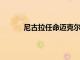 尼古拉任命邁克爾洛舍勒為下一任首席執行官