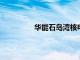 華能石島灣核電站擴建一期工程將開工