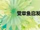 受章魚啟發的可穿戴式傳感器