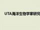 UTA海洋生物學家研究珊瑚對致命海洋疾病的免疫反應