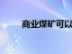 商業煤礦可以將年度進口賬單減半