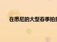 在悉尼的大型春季拍賣周末打破了記錄并打破了儲量