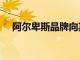 阿爾卑斯品牌向其新車展示了A480指數