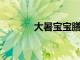 大暑寶寶膳食推薦你學會了嗎