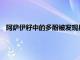 阿薩伊籽中的多酚被發(fā)現(xiàn)具有益生元作用可促進(jìn)消化系統(tǒng)健康