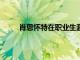 肖恩懷特在職業(yè)生涯最后一戰(zhàn)中以85分排名第四