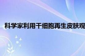 科學(xué)家利用干細(xì)胞再生皮膚觀(guān)察孩子的DNA缺陷如何導(dǎo)致癌癥