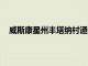 威斯康星州豐塔納村通過Passport升級停車和移動管理