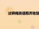 這輛梅賽德斯奔馳復制品在燕鷗中很棒并有金翼門