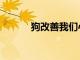狗改善我們心理健康的7種方式