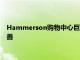 Hammerson購(gòu)物中心巨頭表示與上一季度相比租金問(wèn)題有所改善
