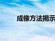 成像方法揭示細胞活動的交感神經