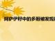 阿薩伊籽中的多酚被發現具有益生元作用可促進消化系統健康
