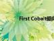 First Cobalt傾向于快速重啟加拿大煉油廠