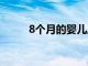 8個月的嬰兒應該吃什么輔食好呢