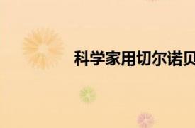 科學家用切爾諾貝利谷物釀造伏特加酒