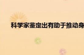 科學家鑒定出有助于推動身體對恐懼 焦慮的反應的腦細胞