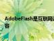 AdobeFlash是互聯網近25年生命中的大部分時間的主要內容