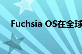 Fuchsia OS在全球推出Nest Hub Max