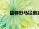 福特野馬猛禽表面在經銷商訂購系統